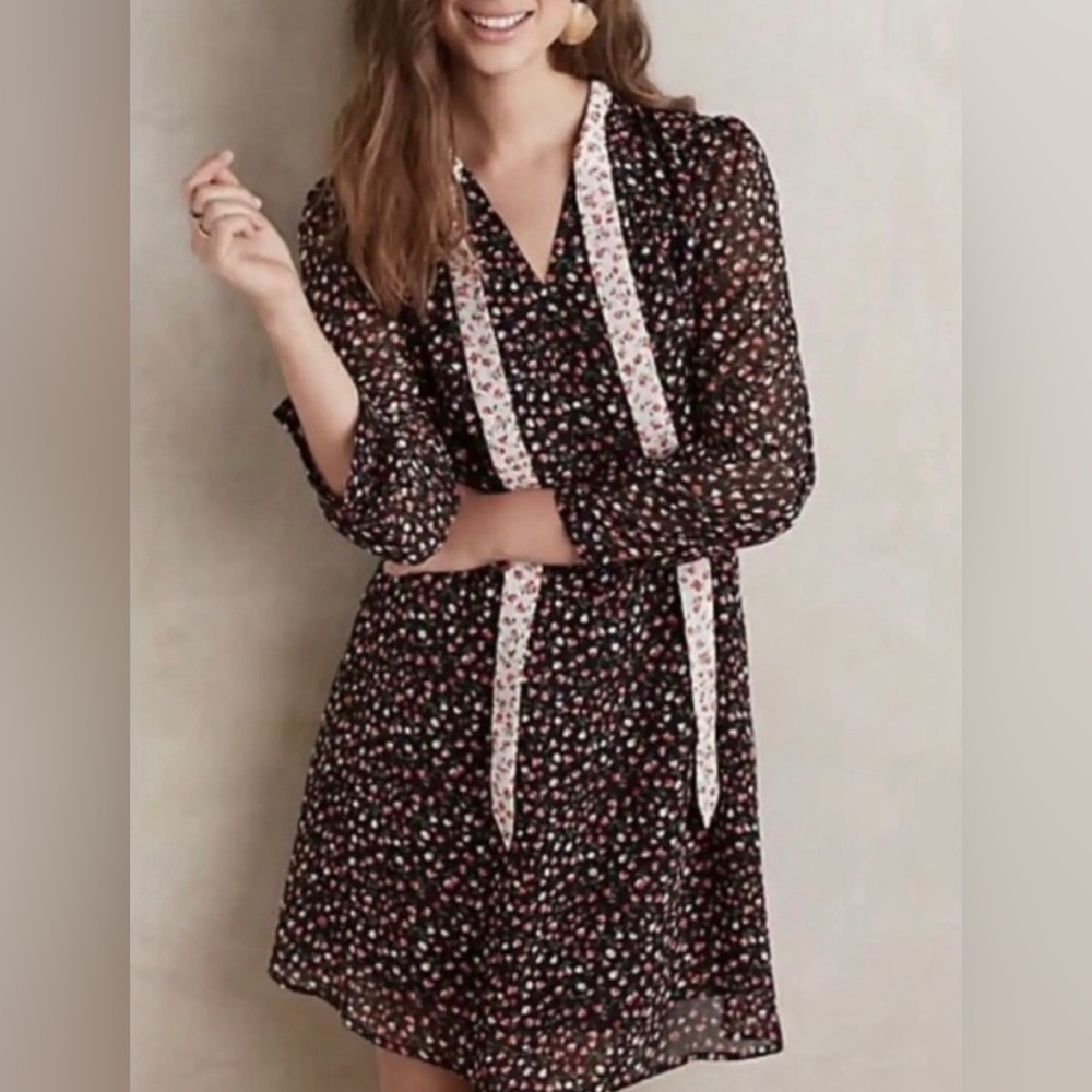 Anthropologie x Tylho Floral Chiffon Dress